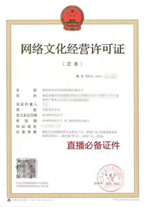 网络文化经营许可证审批办理全流程详解