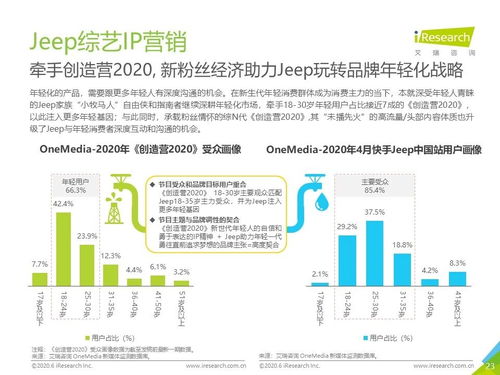 2020年中国网络营销监测 新市场环境下汽车营销的文化经营之道